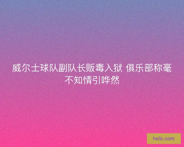 威尔士球队副队长贩毒入狱 俱乐部称毫不知情引哗然